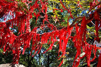 多人合作恐怖生存新作《爆发：恐怖阴影》公布